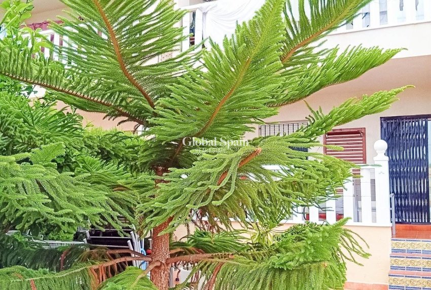 Wiederverkauf - WOHNUNG -
ORIHUELA COSTA - Lomas De Cabo Roig-los Dolses