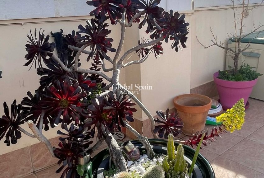 Wiederverkauf - WOHNUNG -
ORIHUELA COSTA - LOS BALCONES - LOS ALTOS