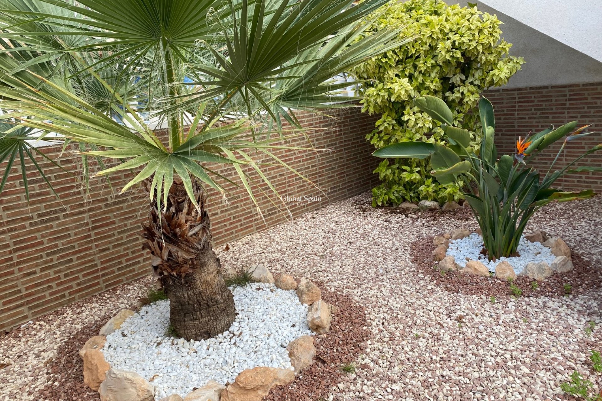 Wiederverkauf - WOHNUNG -
ORIHUELA COSTA - Punta Prima