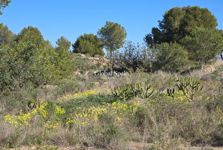 Wiederverkauf - WOHNUNG -
ORIHUELA COSTA - VILLAMARTÍN