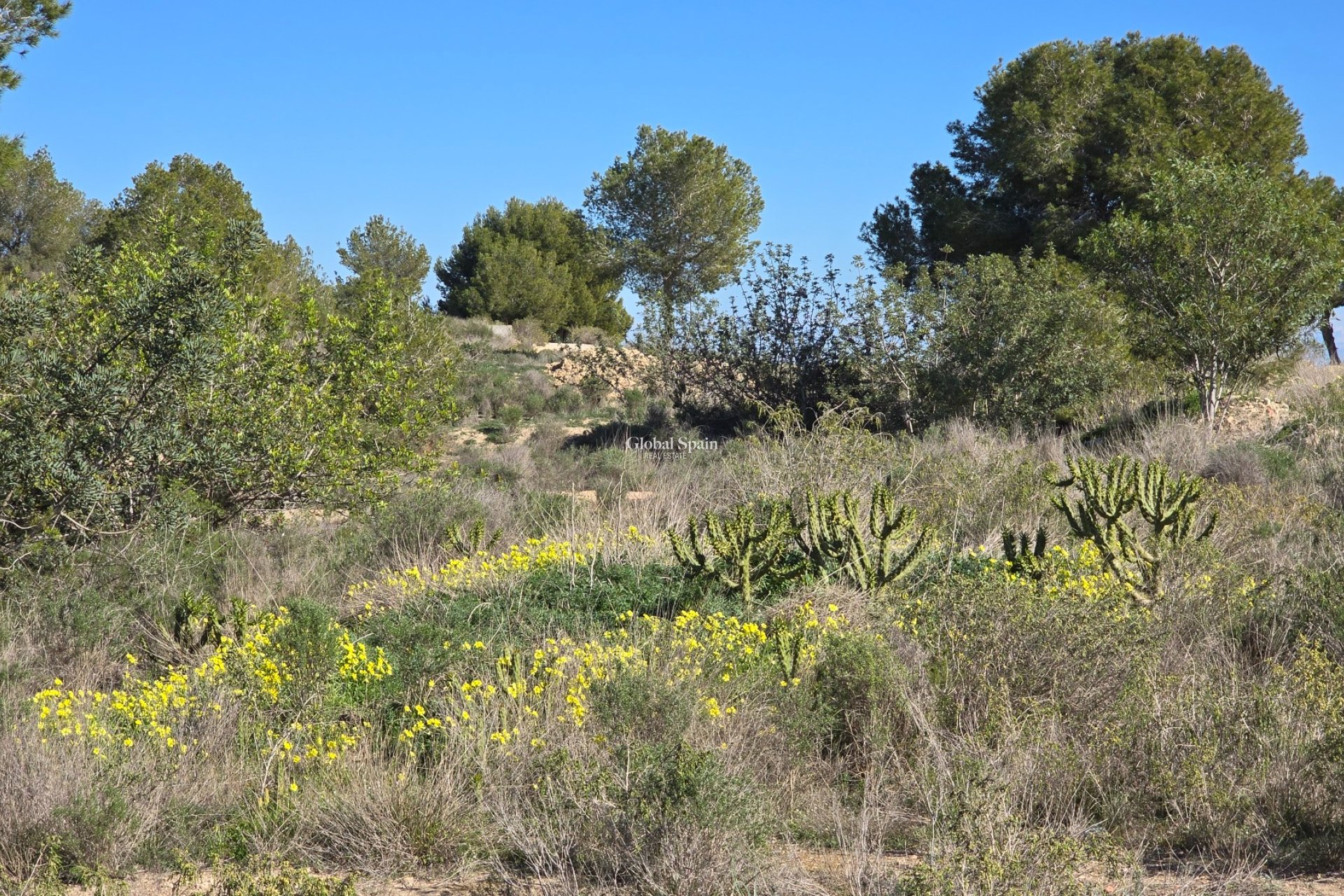Wiederverkauf - WOHNUNG -
ORIHUELA COSTA - VILLAMARTÍN