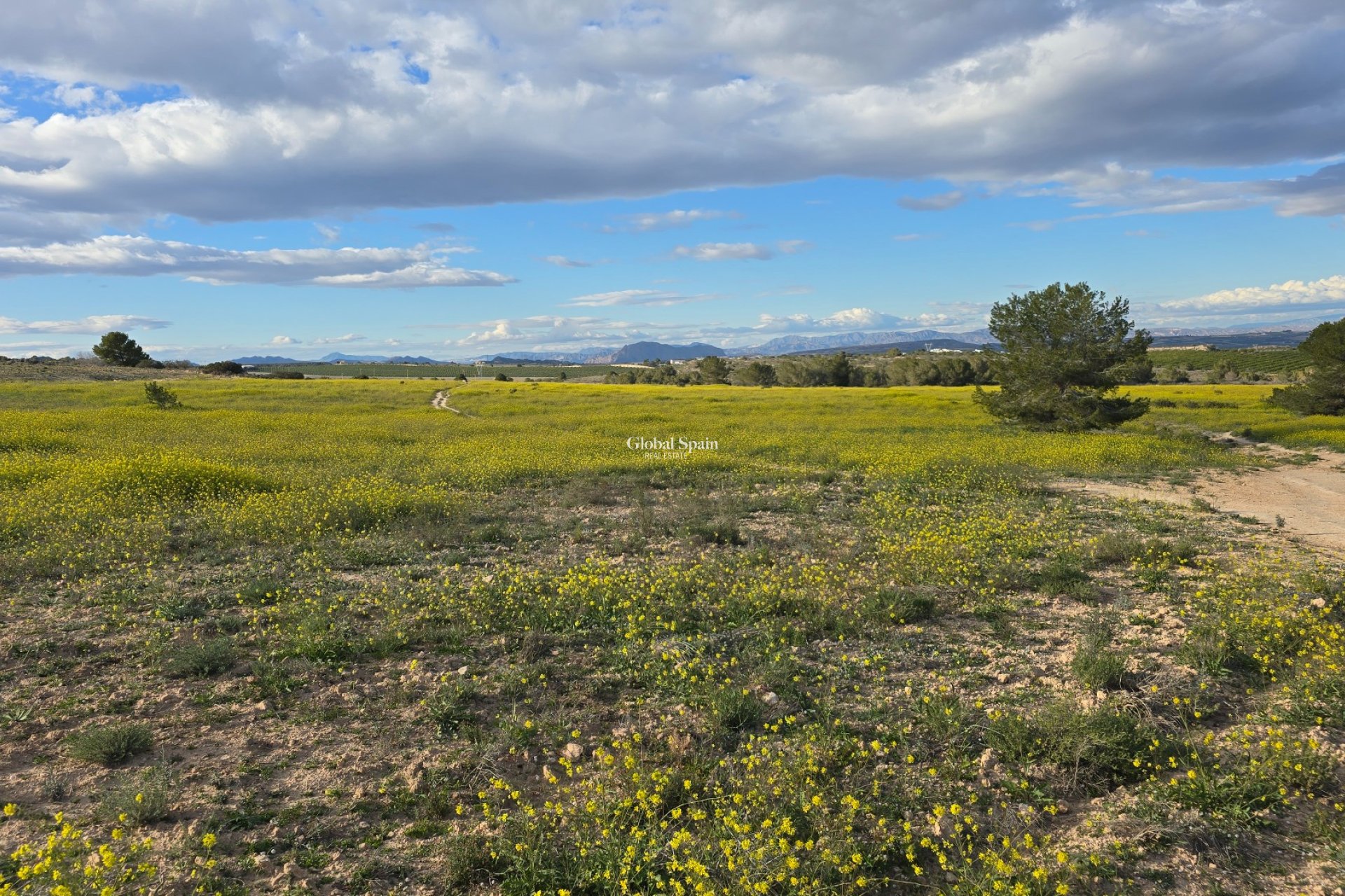 Wiederverkauf - WOHNUNG -
ORIHUELA COSTA - VILLAMARTÍN