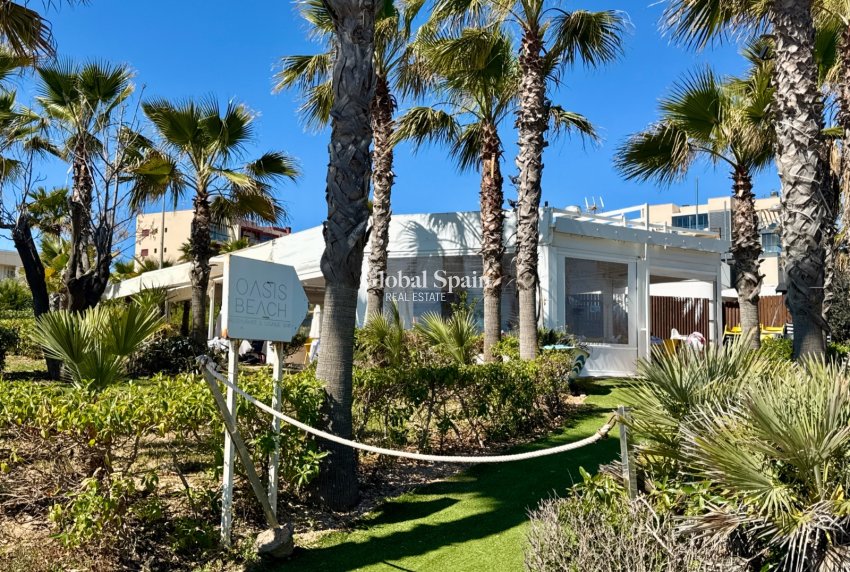 Wiederverkauf - WOHNUNG -
PILAR DE LA HORADADA - Costa Blanca