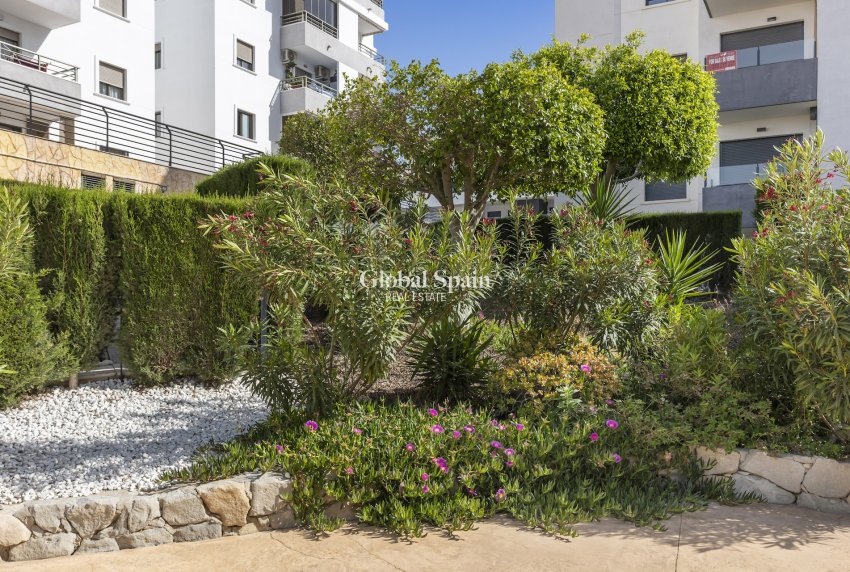Wiederverkauf - WOHNUNG -
SAN MIGUEL DE SALINAS - Inland