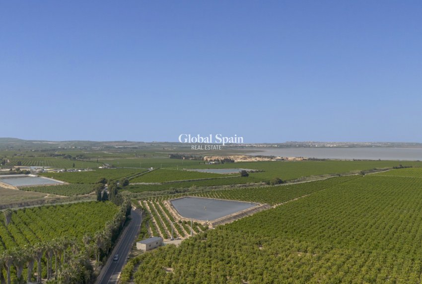 Wiederverkauf - WOHNUNG -
SAN MIGUEL DE SALINAS - Inland