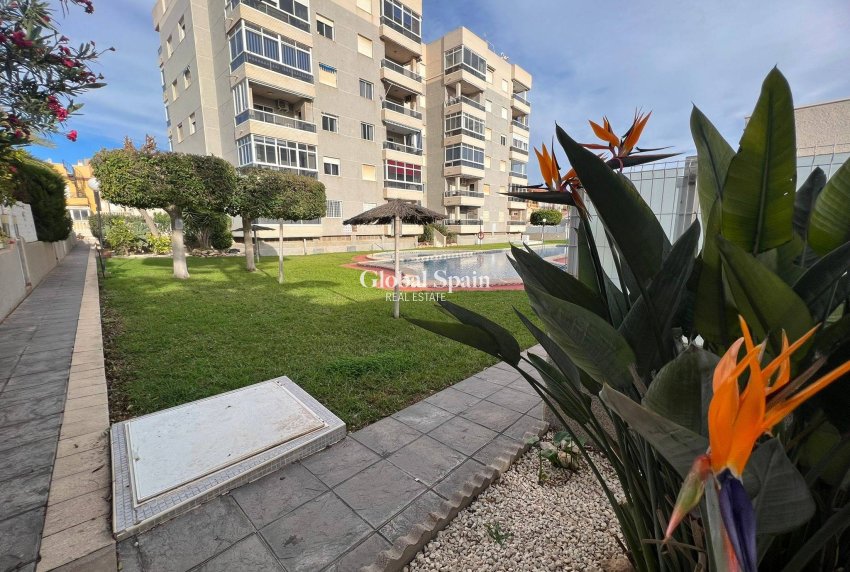 Wiederverkauf - WOHNUNG -
TORREVIEJA - Aguas Nuevas