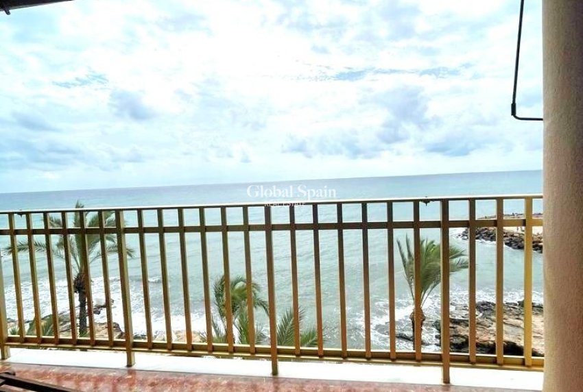 Wiederverkauf - WOHNUNG -
TORREVIEJA - Estacion de autobuses