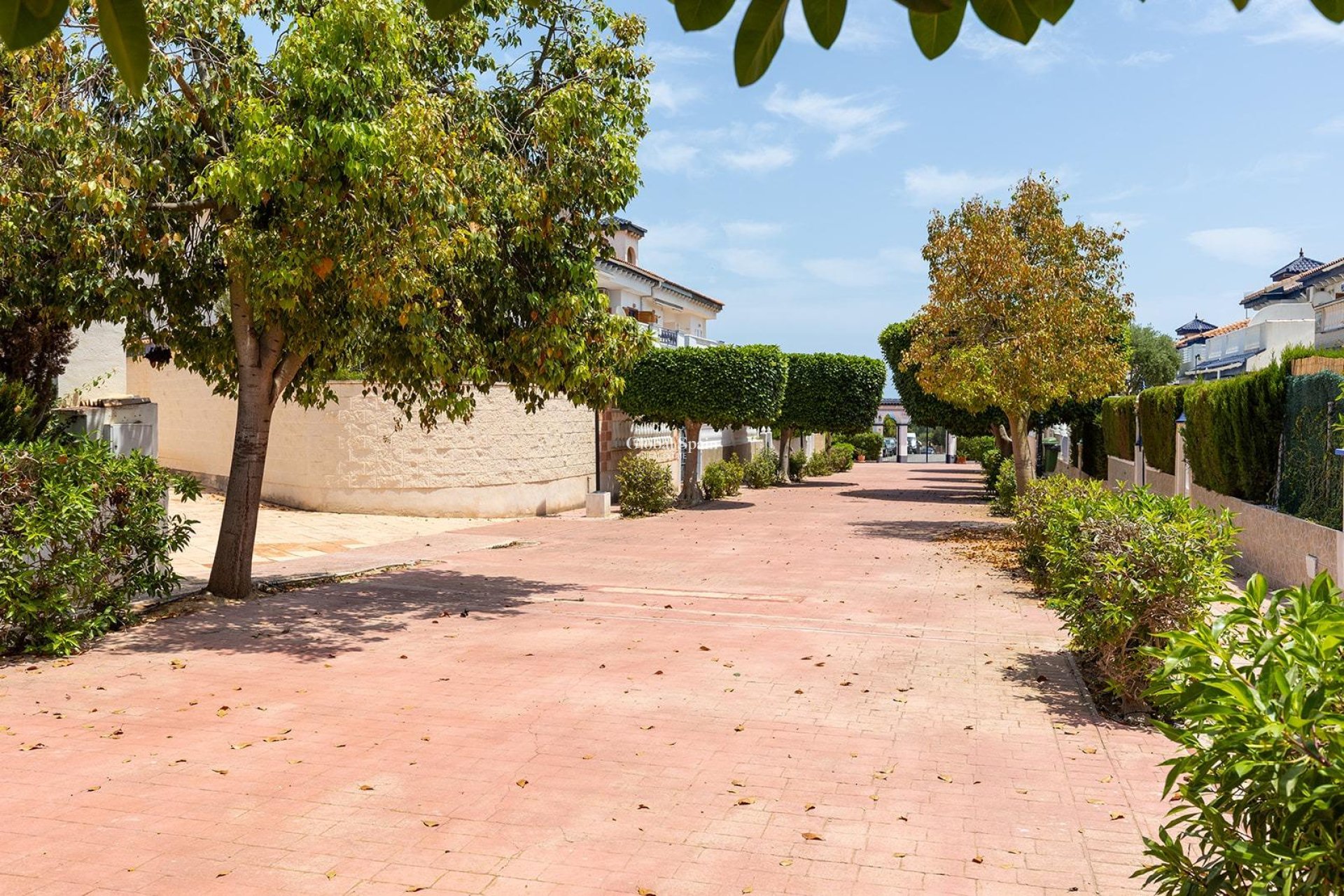 Wiederverkauf - WOHNUNG -
TORREVIEJA - La Mata