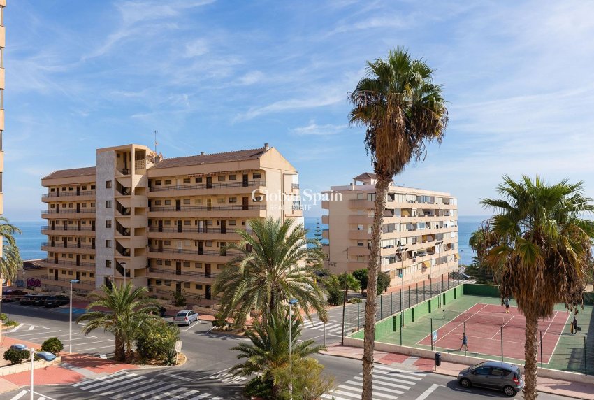 Wiederverkauf - Wohnung -
TORREVIEJA - La Mata