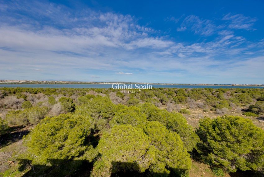 Wiederverkauf - WOHNUNG -
TORREVIEJA - La Siesta - El Salado - Torreta