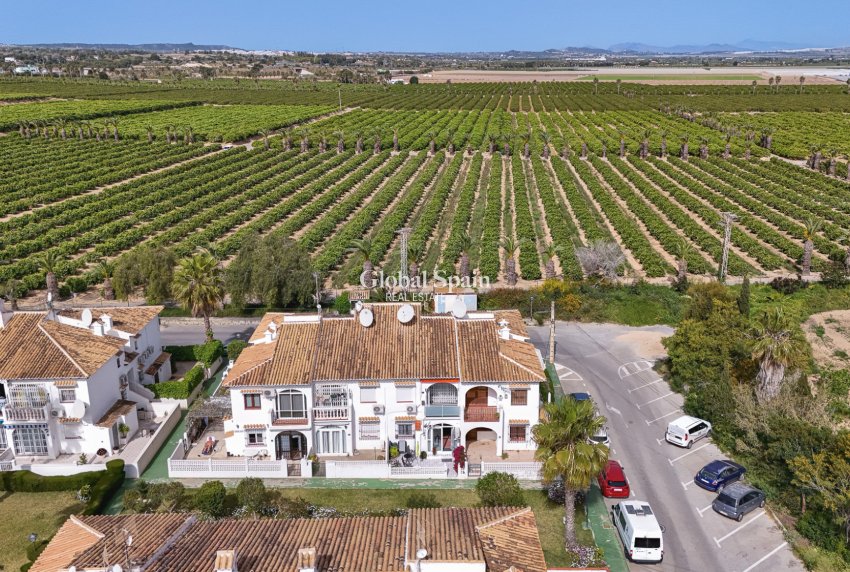 Wiederverkauf - WOHNUNG -
TORREVIEJA - Lago jardin