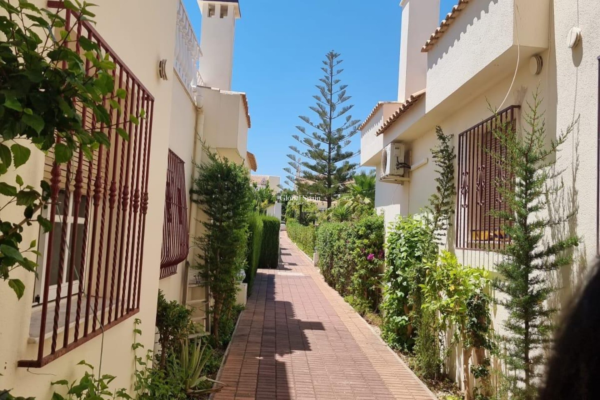 Wiederverkauf - WOHNUNG -
TORREVIEJA - LOS BALCONES - LOS ALTOS
