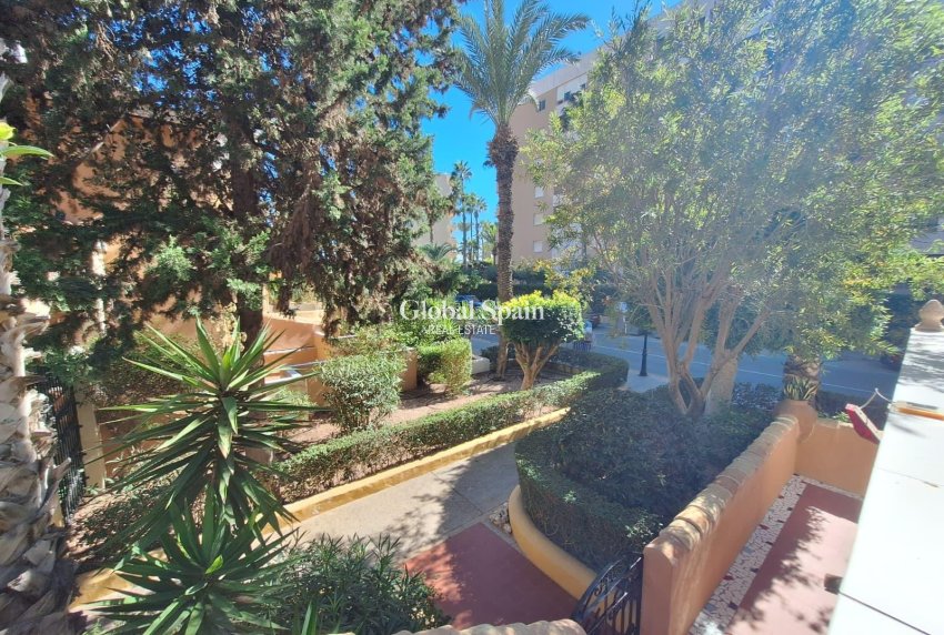 Wiederverkauf - WOHNUNG -
TORREVIEJA - Los Frutales