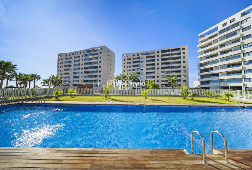 Wiederverkauf - Wohnung -
TORREVIEJA - Punta prima