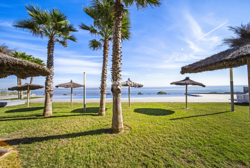 Wiederverkauf - WOHNUNG -
TORREVIEJA - Punta prima