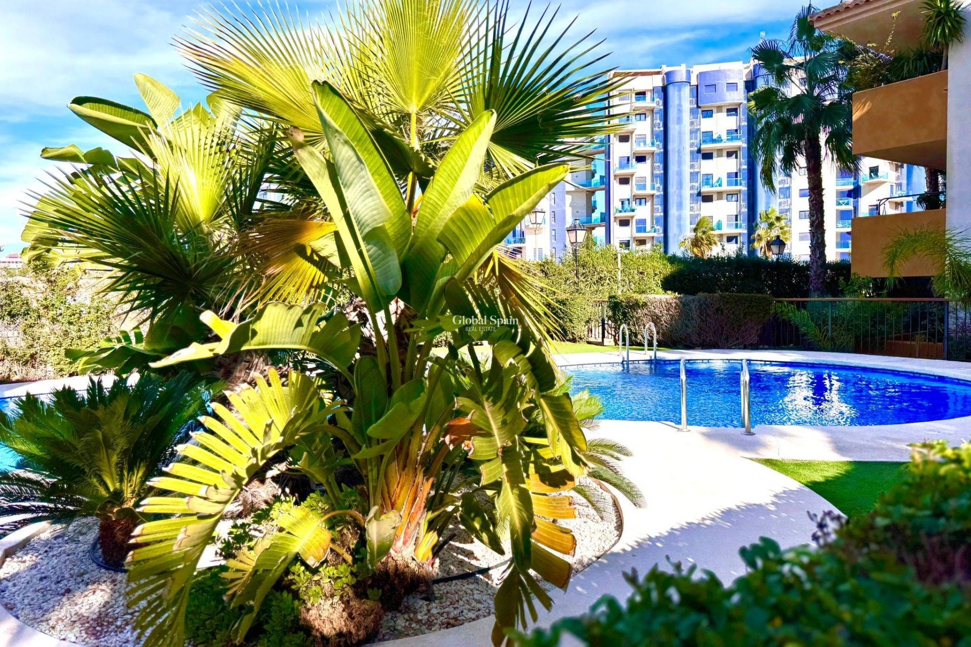 Wiederverkauf - WOHNUNG -
TORREVIEJA - Punta Prima