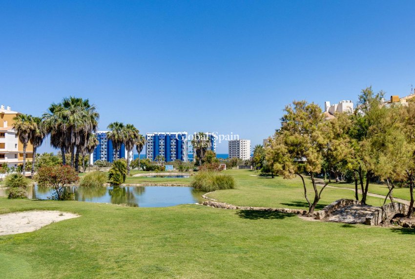 Wiederverkauf - WOHNUNG -
TORREVIEJA - Punta Prima