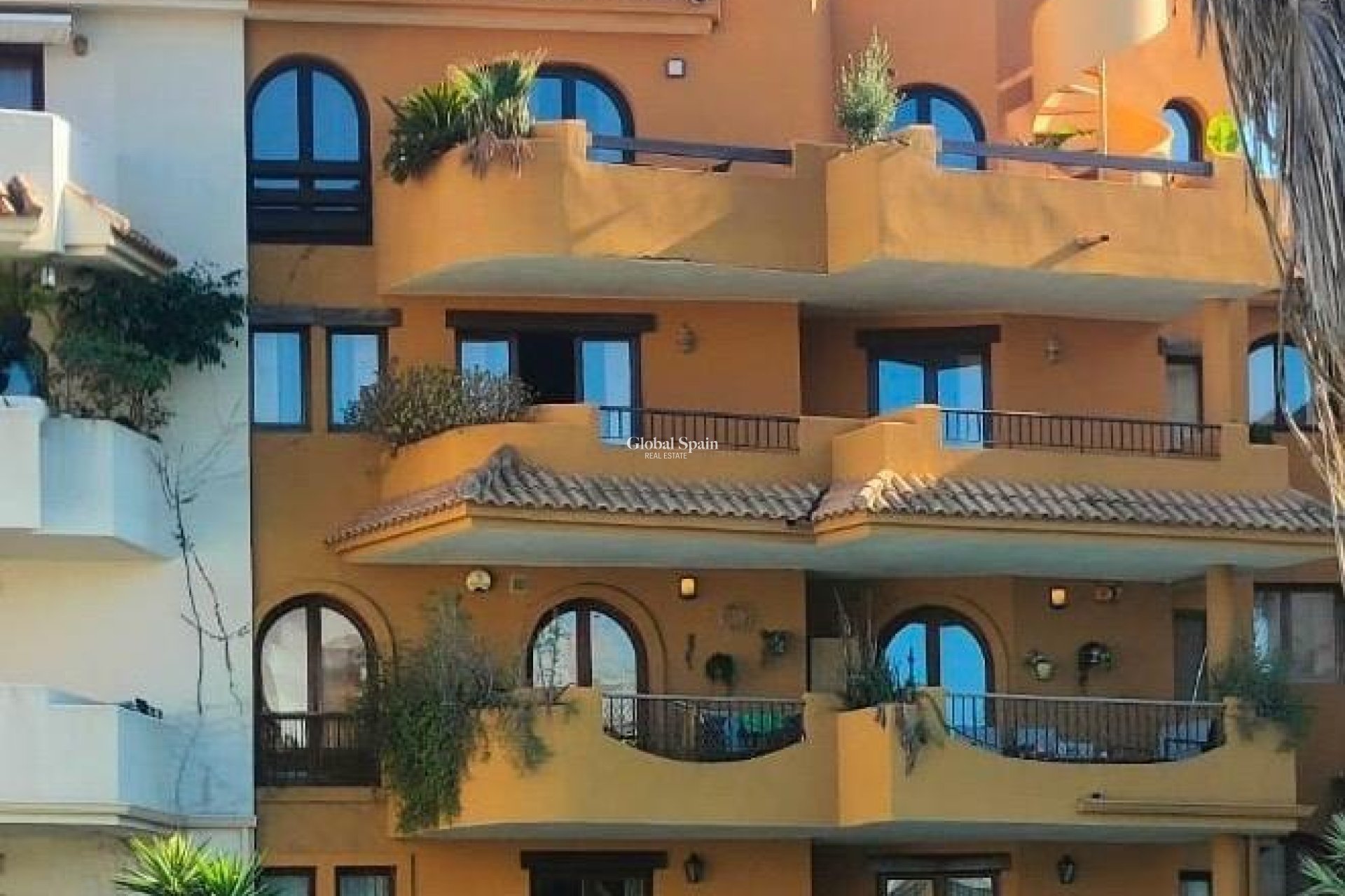 Wiederverkauf - WOHNUNG -
TORREVIEJA - Punta Prima