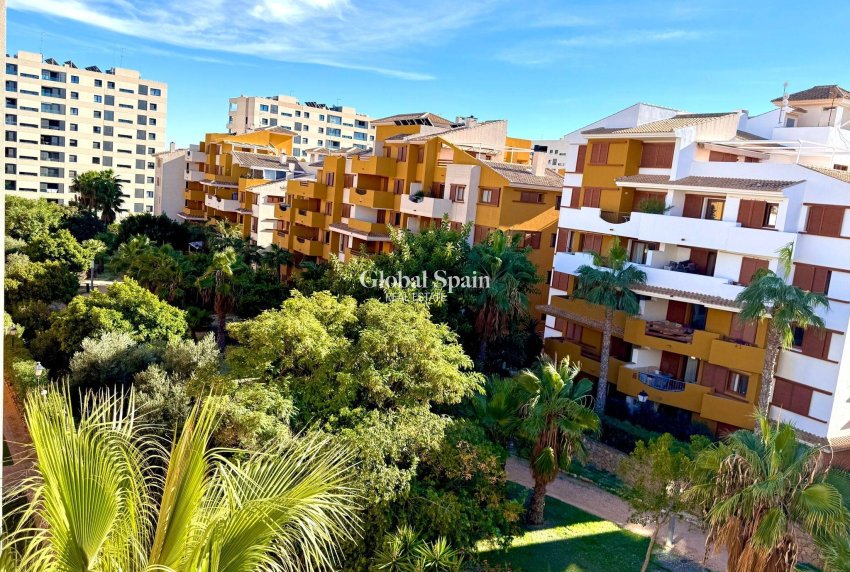 Wiederverkauf - WOHNUNG -
TORREVIEJA - Punta Prima