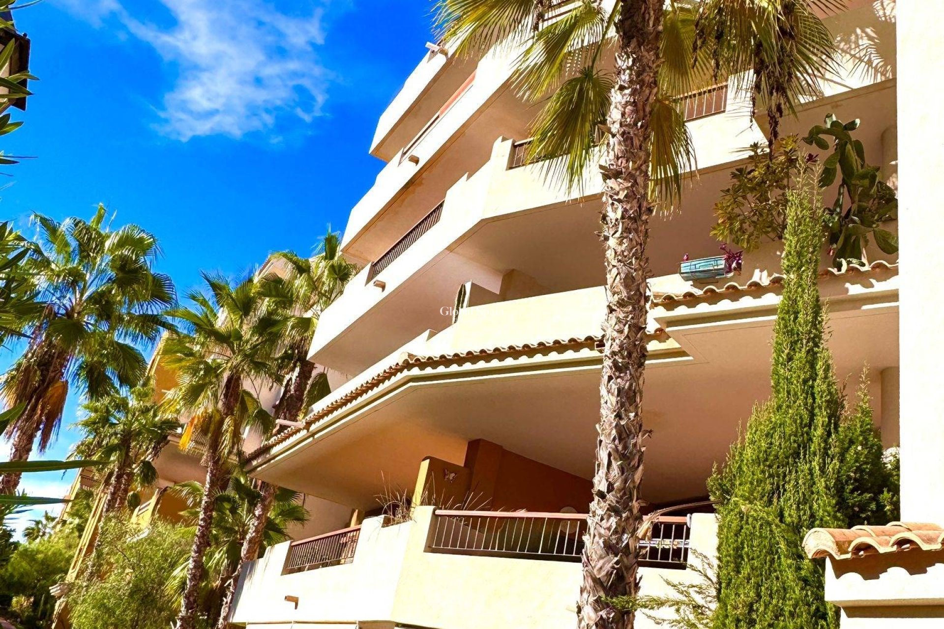 Wiederverkauf - WOHNUNG -
TORREVIEJA - Punta Prima