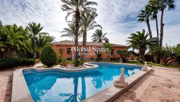 WILLA  - Odsprzedaż - TORREVIEJA -
                