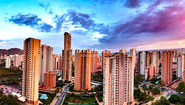 WOHNUNG - Wiederverkauf - BENIDORM -
                Levante