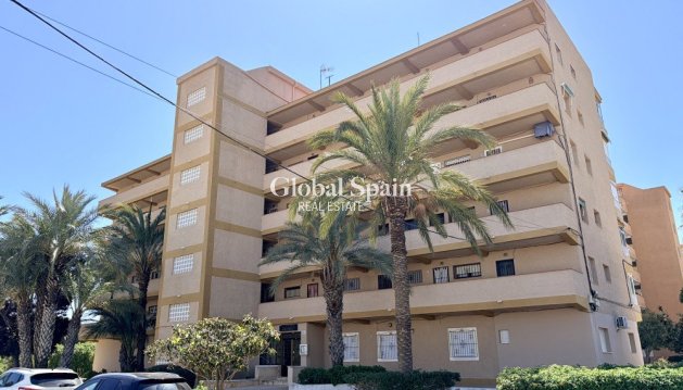 WOHNUNG - Wiederverkauf - GUARDAMAR DEL SEGURA -
                Costa Blanca
