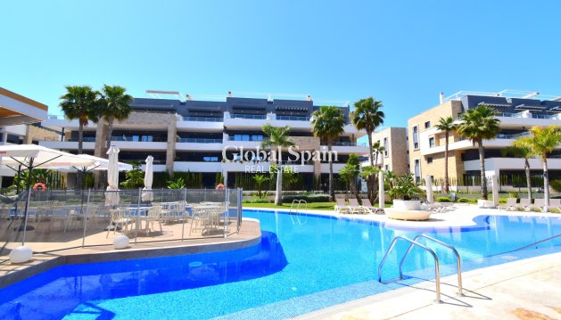 WOHNUNG - Wiederverkauf - Orihuela Costa -
                Playa Flamenca
