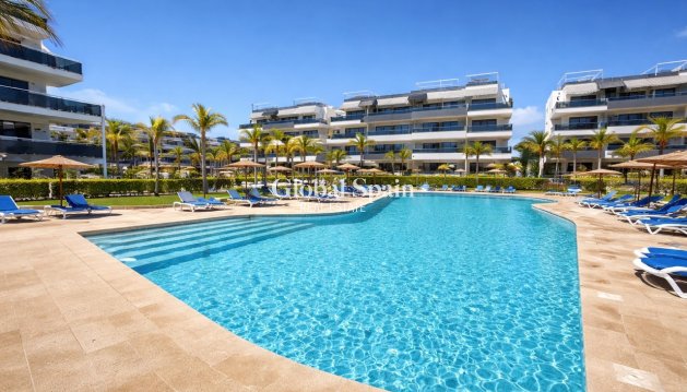 WOHNUNG - Wiederverkauf - PLAYA FLAMENCA -
                Costa Blanca
