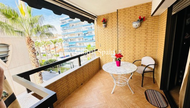 WOHNUNG - Wiederverkauf - TORREVIEJA -
                Center