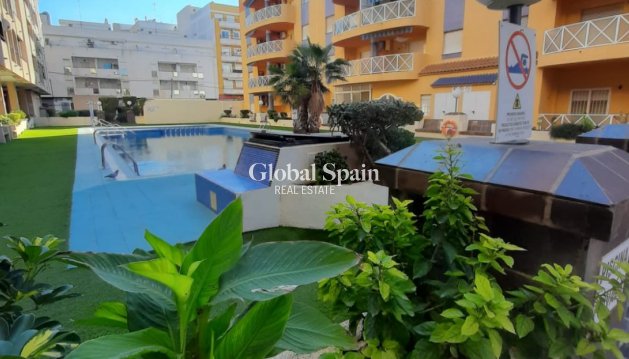 WOHNUNG - Wiederverkauf - TORREVIEJA -
                Costa Blanca