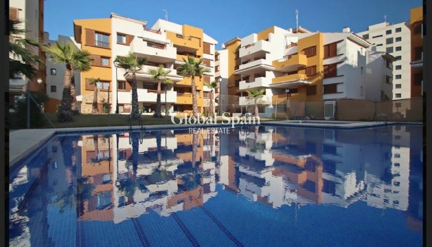 WOHNUNG - Wiederverkauf - TORREVIEJA -
                Costa Blanca