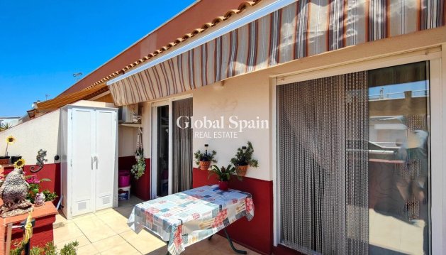 WOHNUNG - Wiederverkauf - TORREVIEJA -
                Costa Blanca