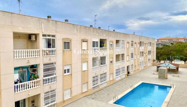 WOHNUNG - Wiederverkauf - TORREVIEJA -
                Costa Blanca