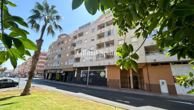 WOHNUNG - Wiederverkauf - TORREVIEJA -
                Costa Blanca