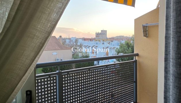 WOHNUNG - Wiederverkauf - TORREVIEJA -
                Nueva Torrevieja