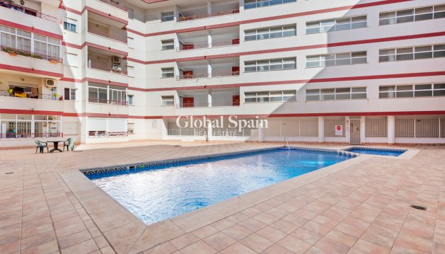 WOHNUNG - Wiederverkauf - TORREVIEJA -
                Parque de las Naciones