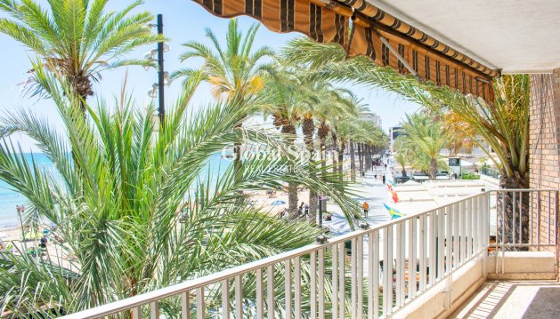 WOHNUNG - Wiederverkauf - TORREVIEJA -
                Playa del Cura