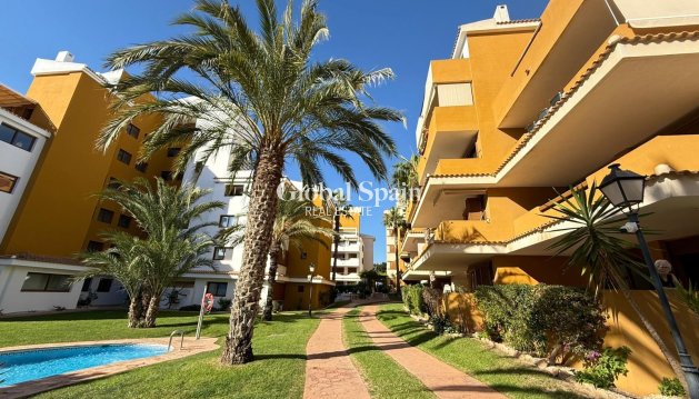 WOHNUNG - Wiederverkauf - TORREVIEJA -
                Punta Prima