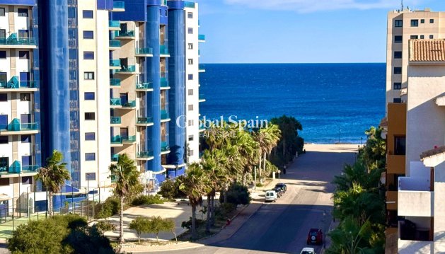 WOHNUNG - Wiederverkauf - TORREVIEJA -
                Punta Prima