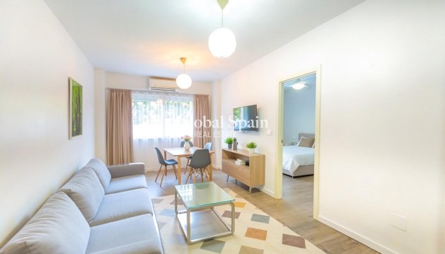 WOHNUNG - Wiederverkauf - TORREVIEJA -
                Torrevieja