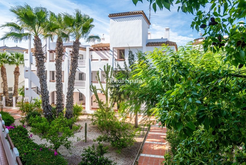 Wynajem długoterminowy - Apartament -
ORIHUELA - VILLAMARTÍN