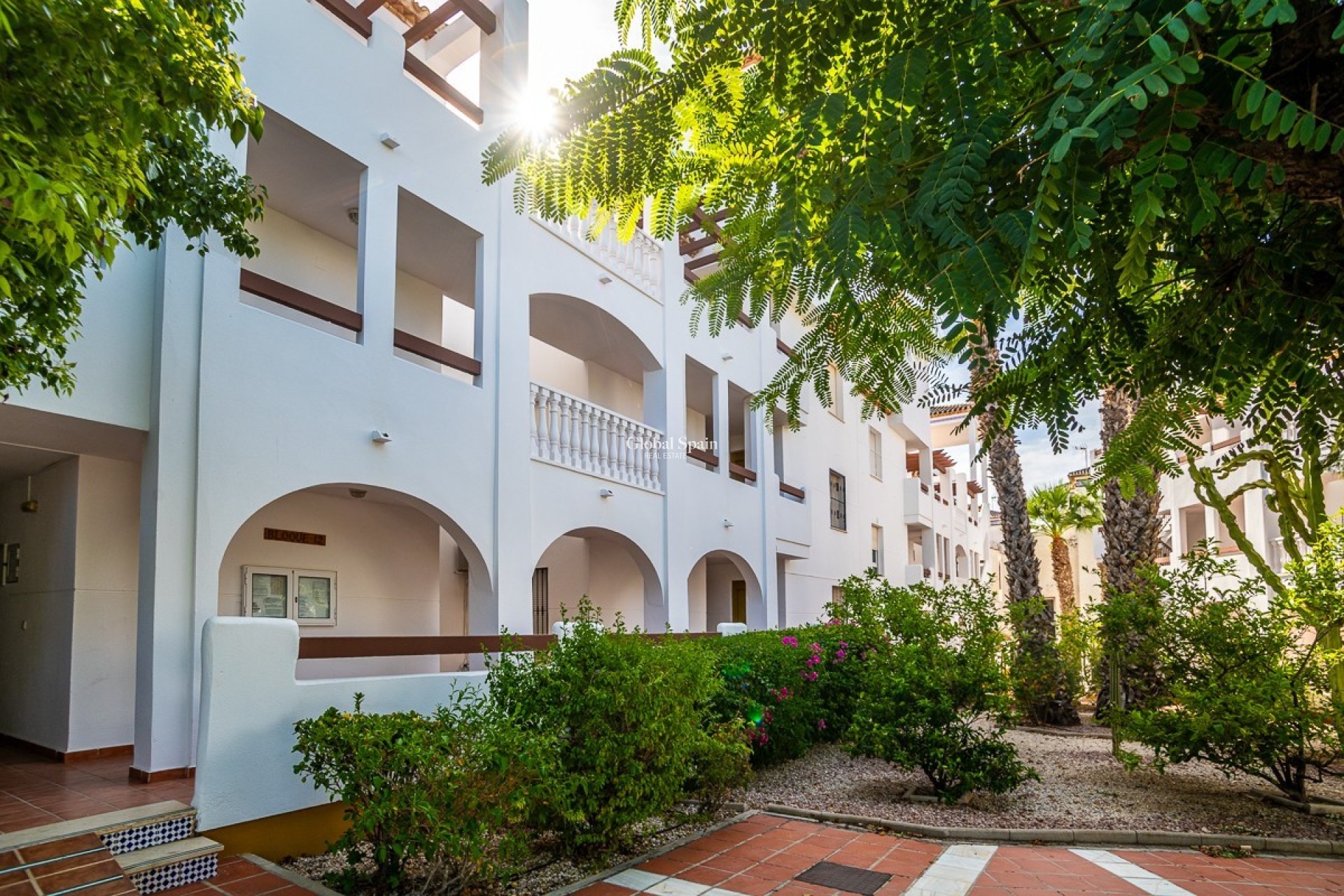 Wynajem długoterminowy - Apartament -
ORIHUELA - VILLAMARTÍN