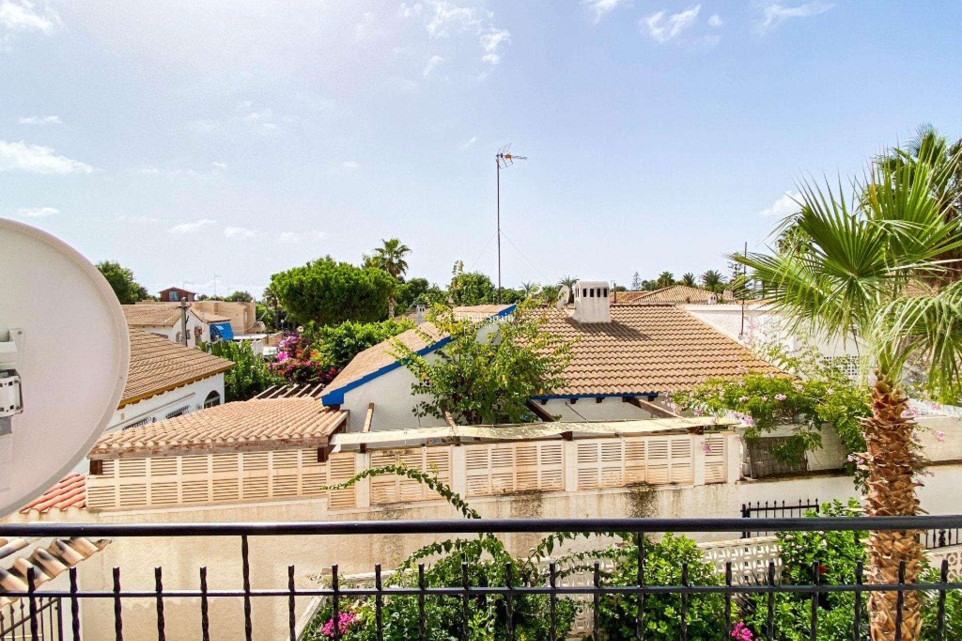 Wynajem krótkoterminowy - Apartament -
PUNTA PRIMA - Cala Dorada