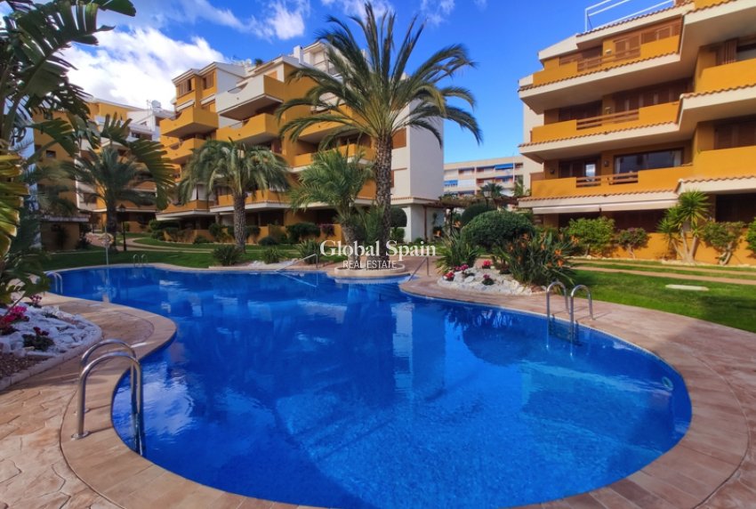 Wynajem krótkoterminowy - Apartament -
PUNTA PRIMA - La Entrada