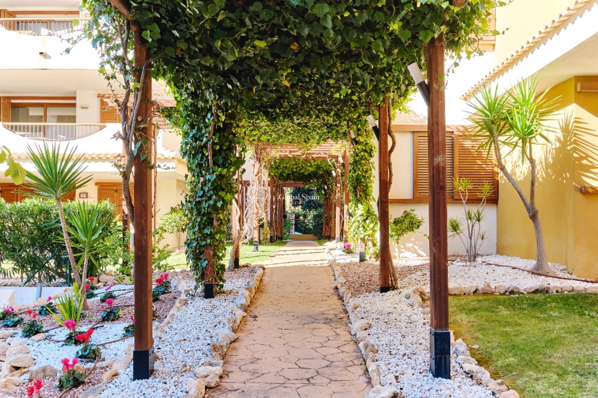 Wynajem krótkoterminowy - Apartament -
PUNTA PRIMA - La Entrada