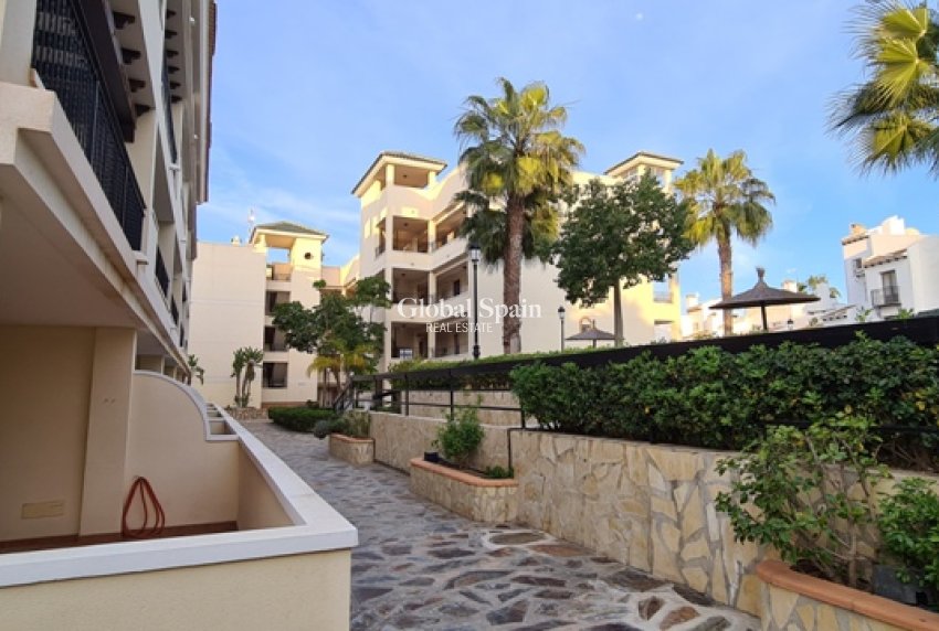 Wynajem krótkoterminowy - MIESZKANIE -
CAMPOAMOR