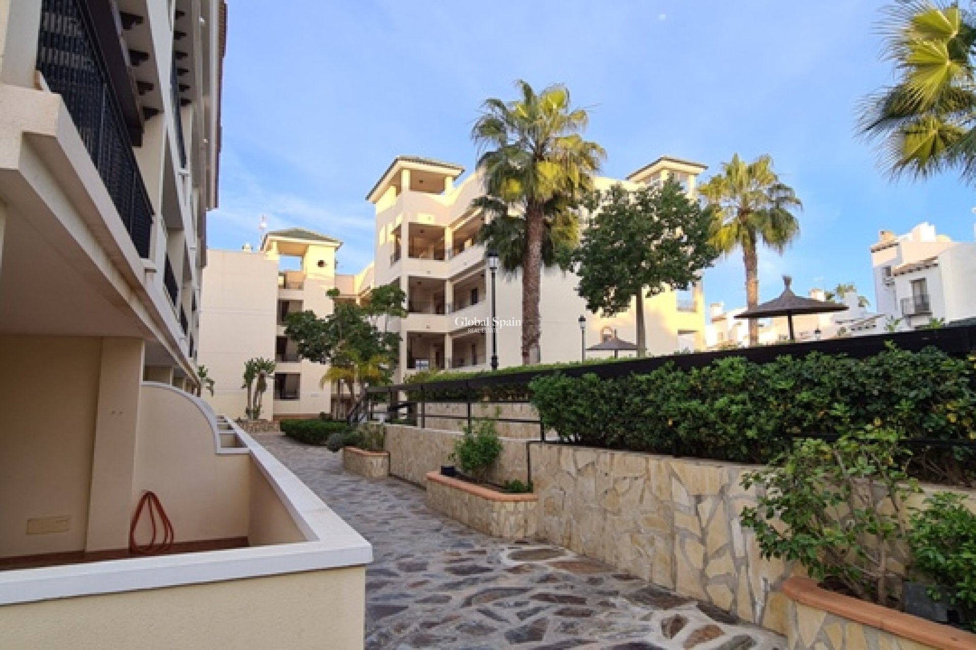 Wynajem krótkoterminowy - MIESZKANIE -
CAMPOAMOR