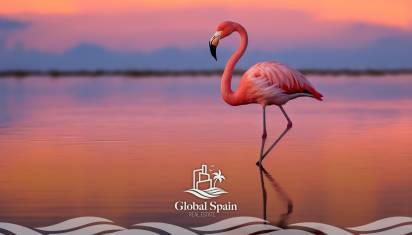 The pink lake in Torrevieja and the salt extraction