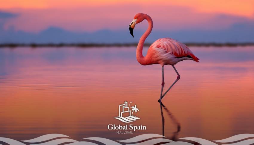 The pink lake in Torrevieja and the salt extraction